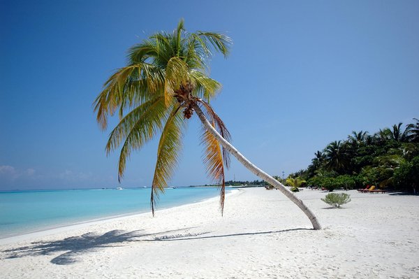 Échappez-vous en pleine nature avec le camping écoresponsable